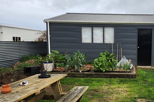 Photo - the finished and established vegetable patch.
