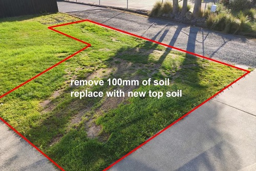 The area of lawn to be removed marked out on a photo.